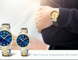 Festina Solar Energy