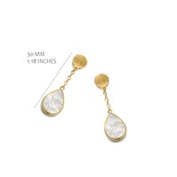 Silver Rose oorbellen EA2546GMOP