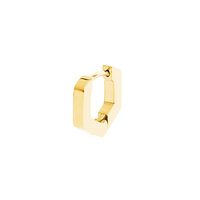  Gemini oorbel ETD12 Dexter Gold in TITANIUM