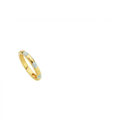 9 karaat Gouden Ring Naiomy Gold G2D04