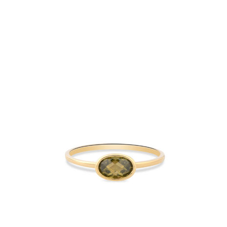 18 karaat gouden Ring Swing Jewels RDC01-4308