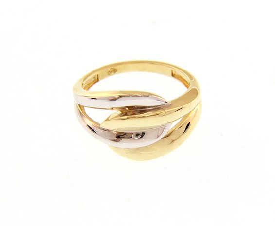 9 karaat Gouden Ring 220243