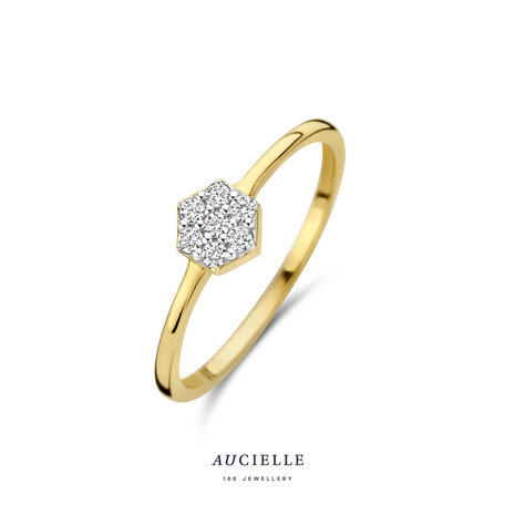 18 karaat gouden ring Cara 