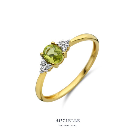 18 karaat gouden ring Aucielle AR0003C 