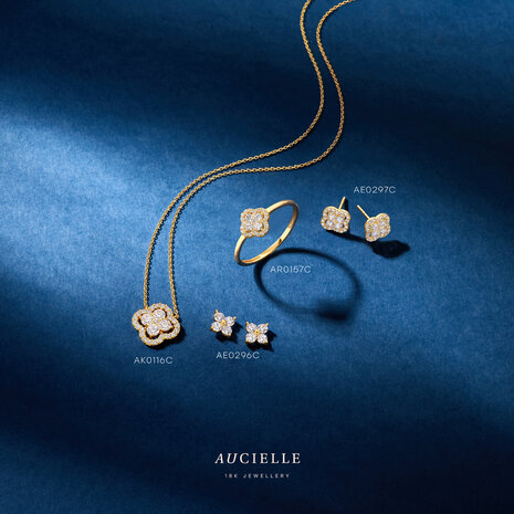 18 Karaat gouden Ketting Aucielle AK0116C/45