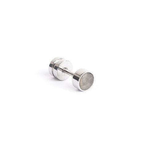  Gemini oorbel ETA17 Auris Silver Grey in TITANIUM