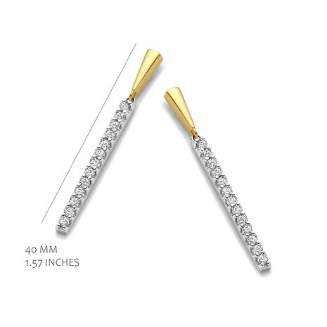 Silver Rose oorbellen EA2542G