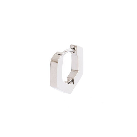  Gemini oorbel ETD10 Dexter Silver kleur in TITANIUM