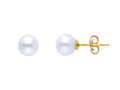9 Karaat gouden Oorbellen met zoetwaterparel 7,5-8 mm