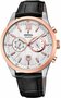 Festina Herenhorloge F16997/1