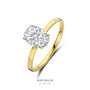 18 karaat gouden ring Aucielle AR0073C