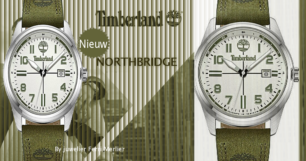Timberland Horloge TDWGB2230703 - Northbridge | Quarzuhren