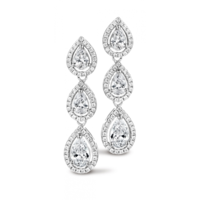 Silver Rose Oorbellen EA6290W