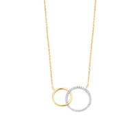 Silver Rose Ketting CH2047G Verguld