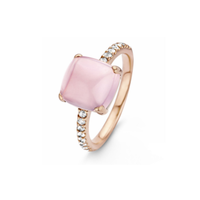 9 karaat Gouden Ring Naiomy Gold G4D21/XZ