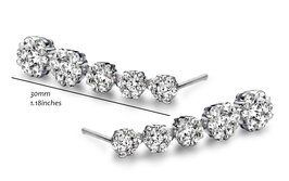 Silver Rose Oorbellen EA6424W-5