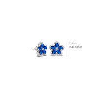 Silver Rose Oorbellen EA2590BLU