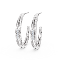 Diamanti Per Tutti Oorbellen Fallon M2708